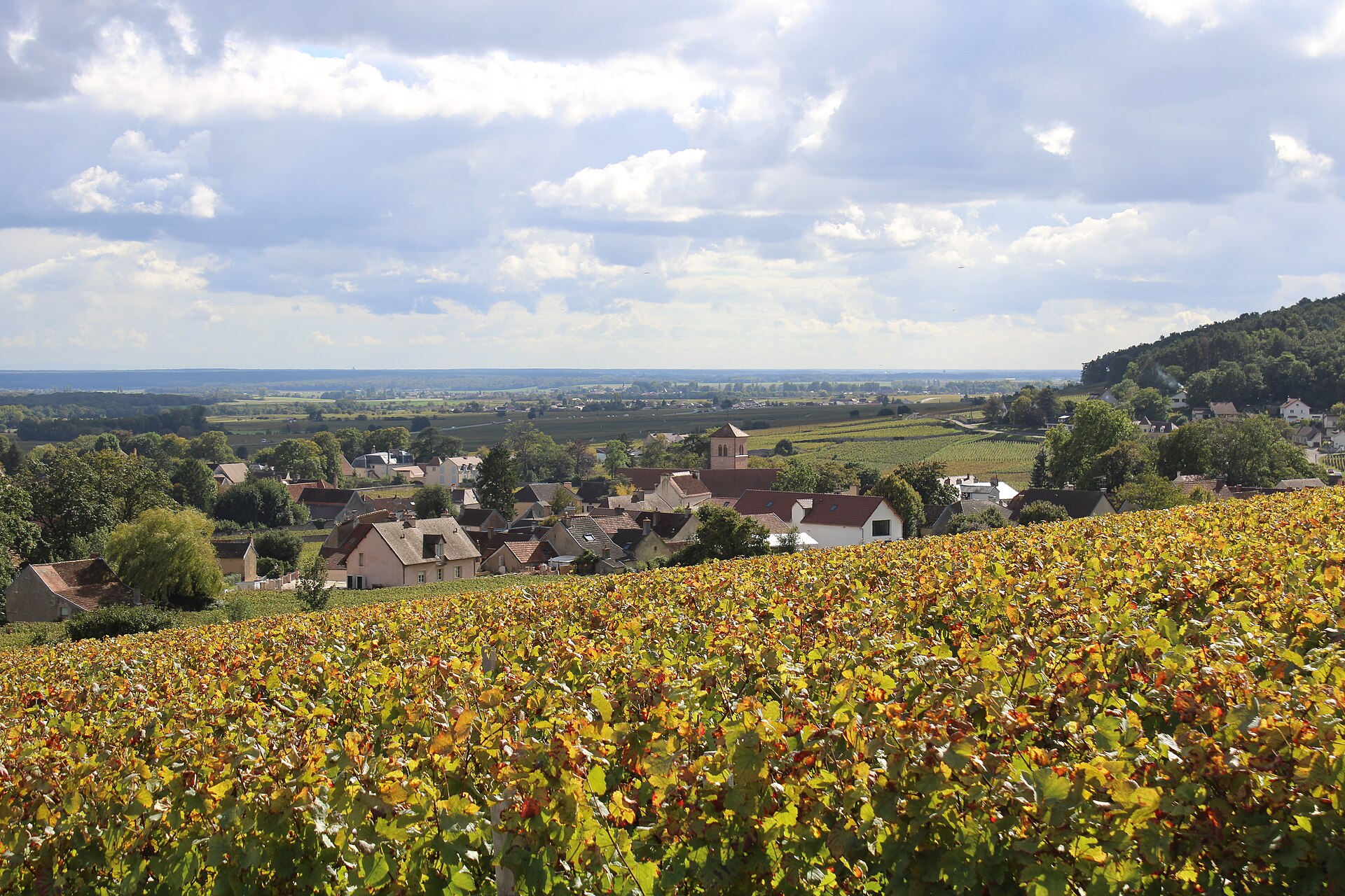 GEVREY-CHAMBERTIN